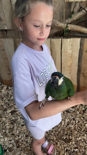 Zdjęcie WhatsApp 2025-06-30 o 21.57.46_2c7c5d2b