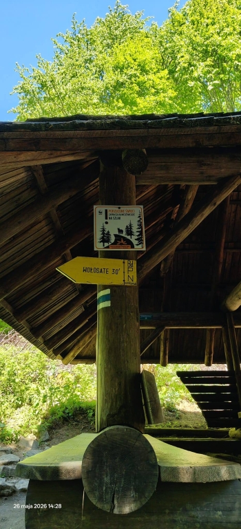 36