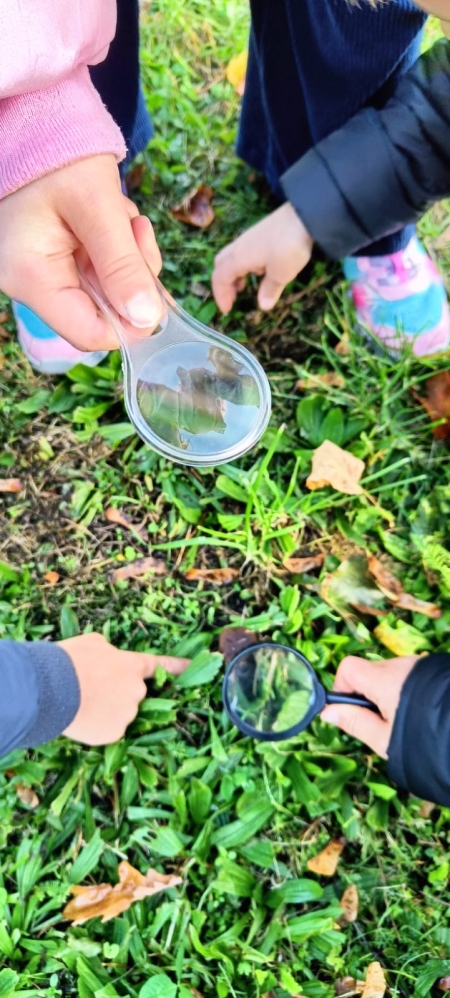 Co w trawie piszczy? 